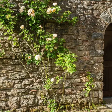 Rose * Sandford (Cumbria)